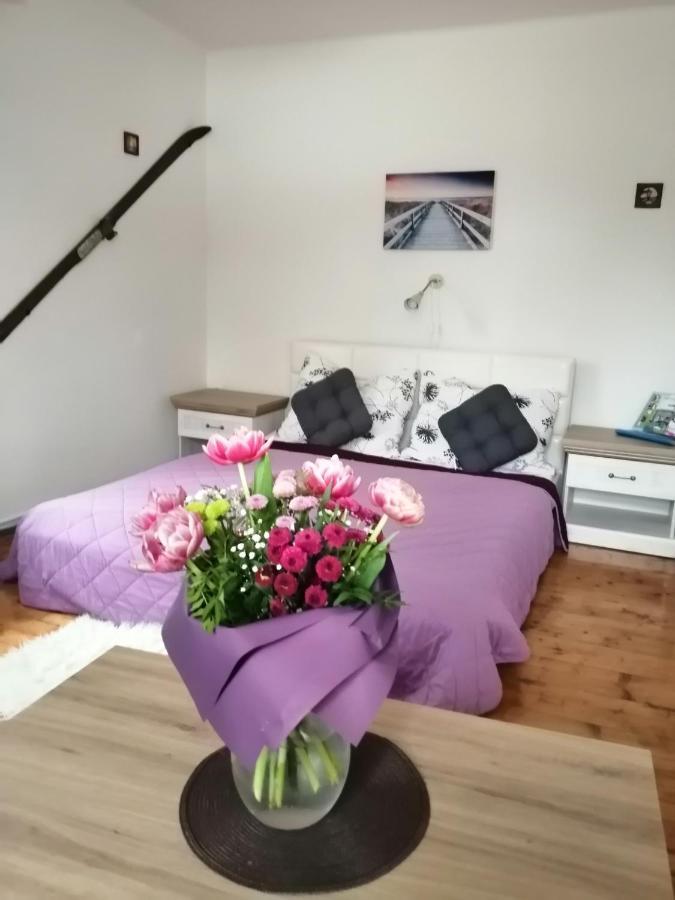 Apartment Patrick هاراشوف المظهر الخارجي الصورة